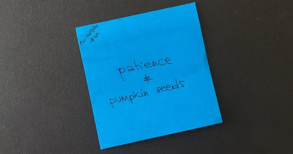 patience pumpkin seeds